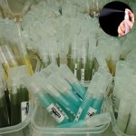 ১০ পিস টেস্টিং স্প্রে পারফিউম ৮৯৯৳ - Image 3